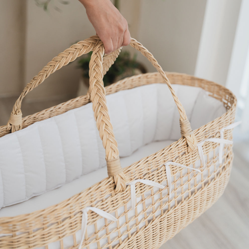 hand carrying a moses basket