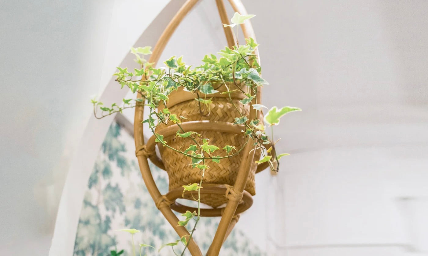 Get Your Toddler Excited About Gardening with Stylish Rattan Planters