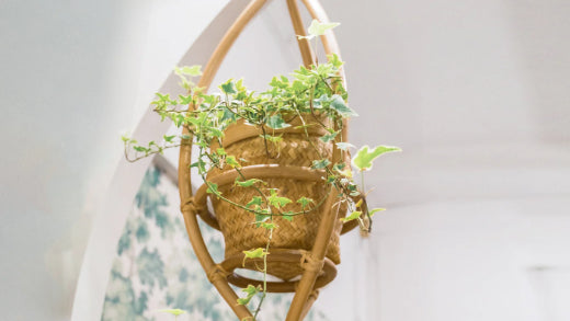 Get Your Toddler Excited About Gardening with Stylish Rattan Planters