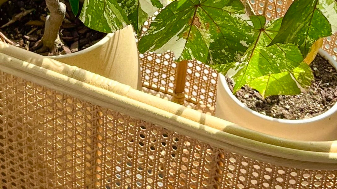 How to Brighten Your Patio with Rattan Plant Stands: A Step-by-Step Guide