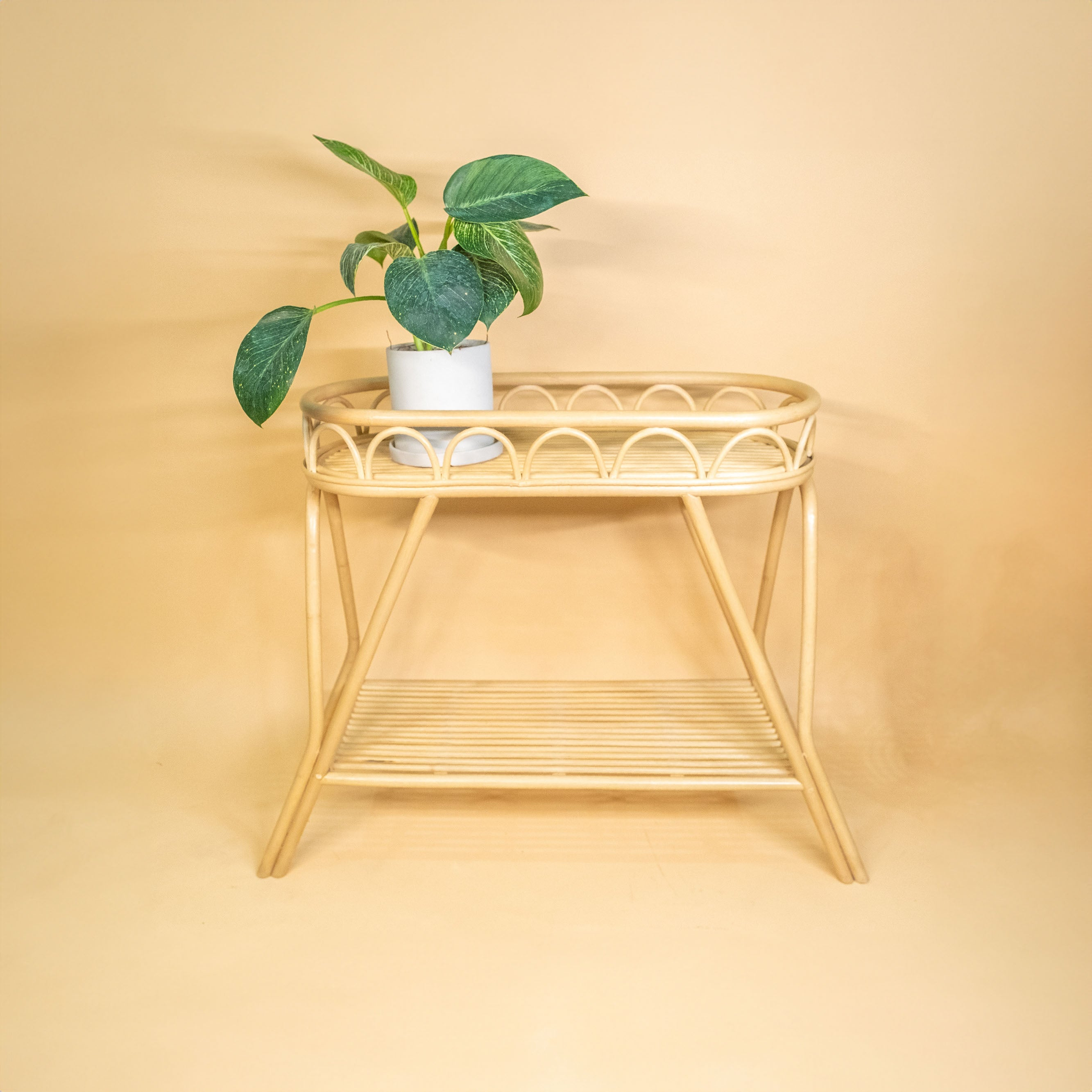 Rattan Planter Baskets & Racks