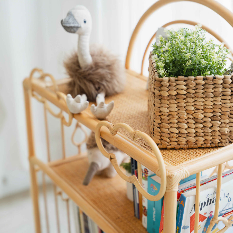 Rattan Shelves | After the Rain Shelf with Books & Toys Close up Shot | Momiji