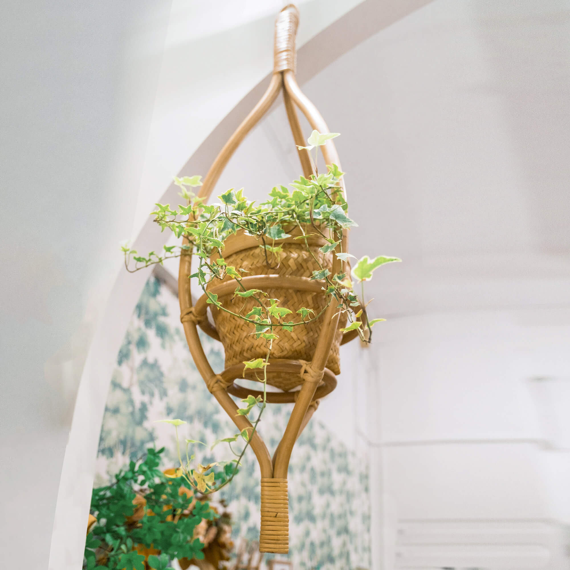 Almond Rattan Hanging Planter | Wicker Basket | Indoor and Outdoor Use | MOMIJI