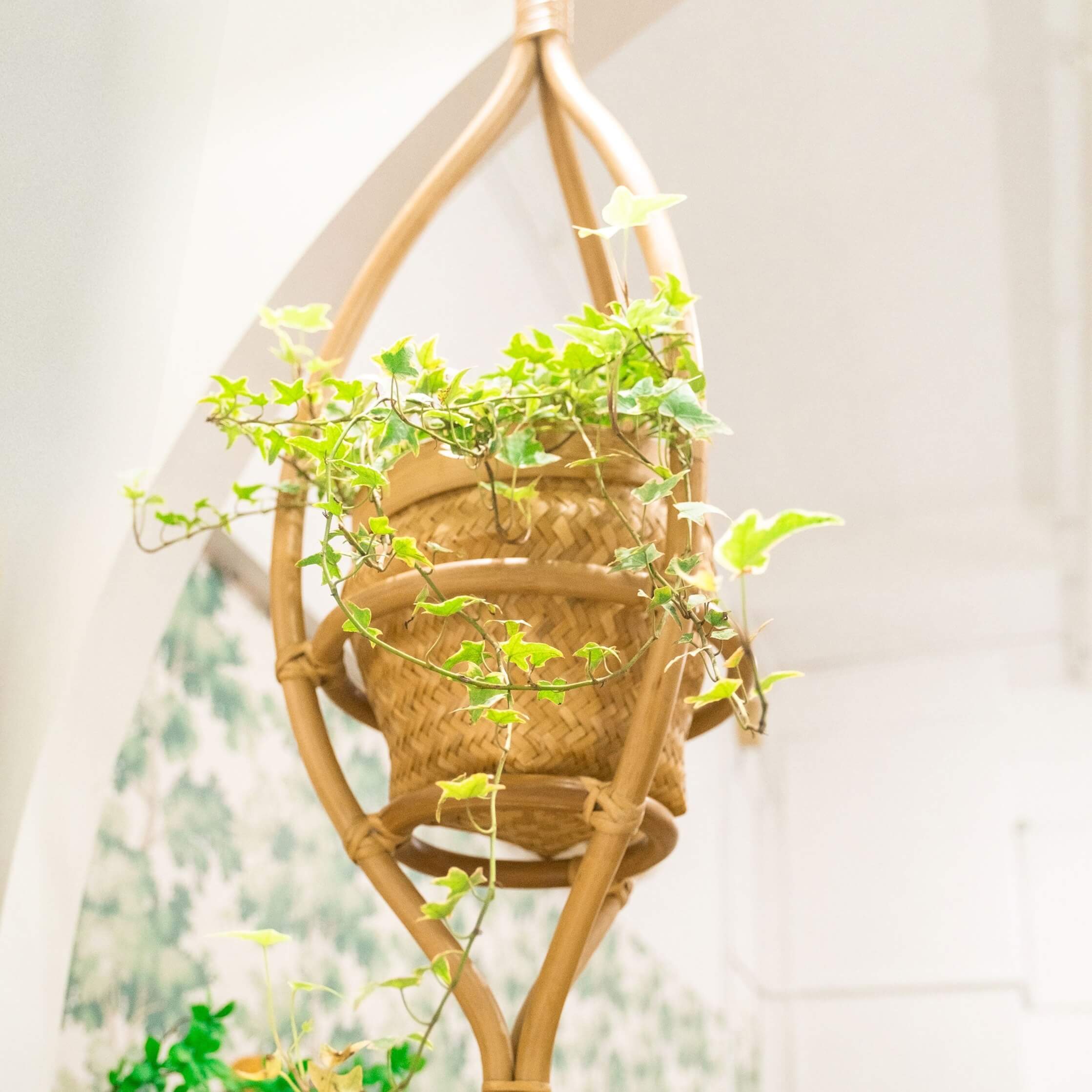 Almond Rattan Hanging Planter | Wicker Basket | Indoor and Outdoor Use | MOMIJI