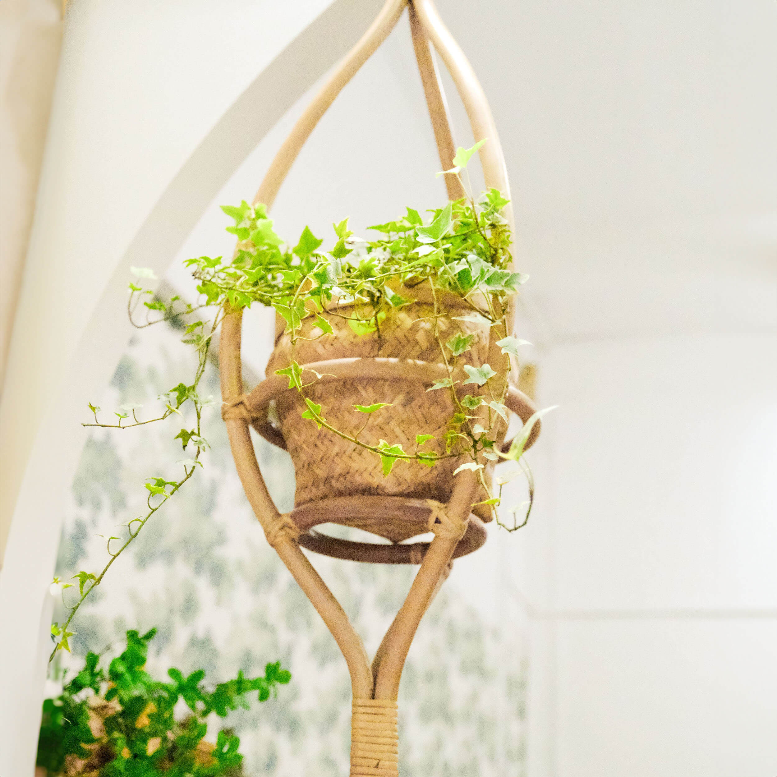 Almond Rattan Hanging Planter | Wicker Basket | Indoor and Outdoor Use | MOMIJI