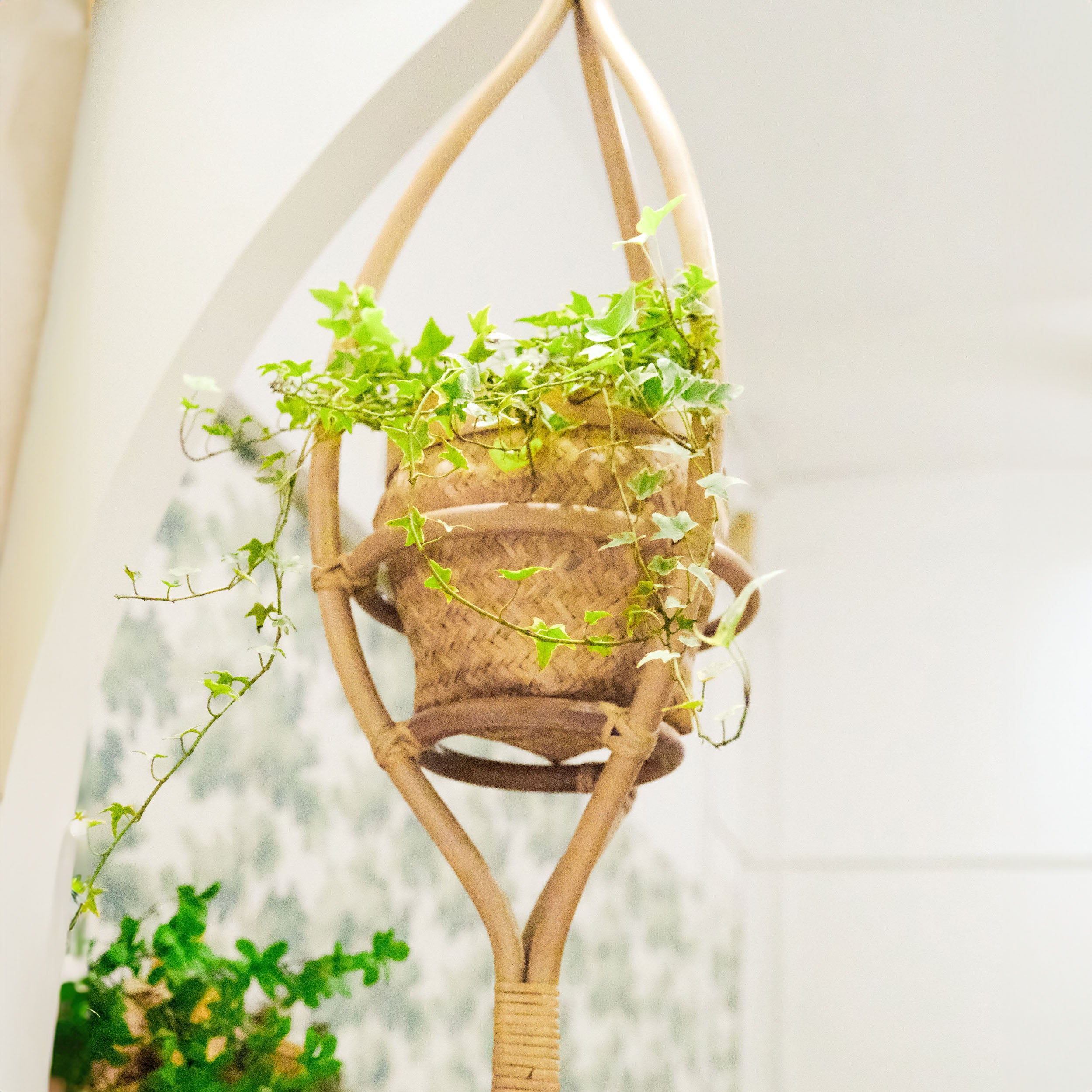 Almond Hanging Planter