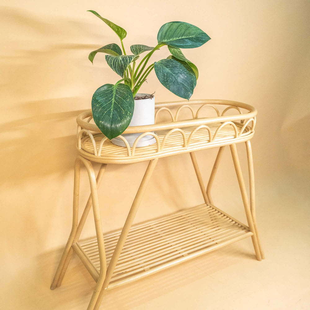 Sage Wicker Plant Stand | Rattan Plant Stand | Plant Rack | MOMIJI