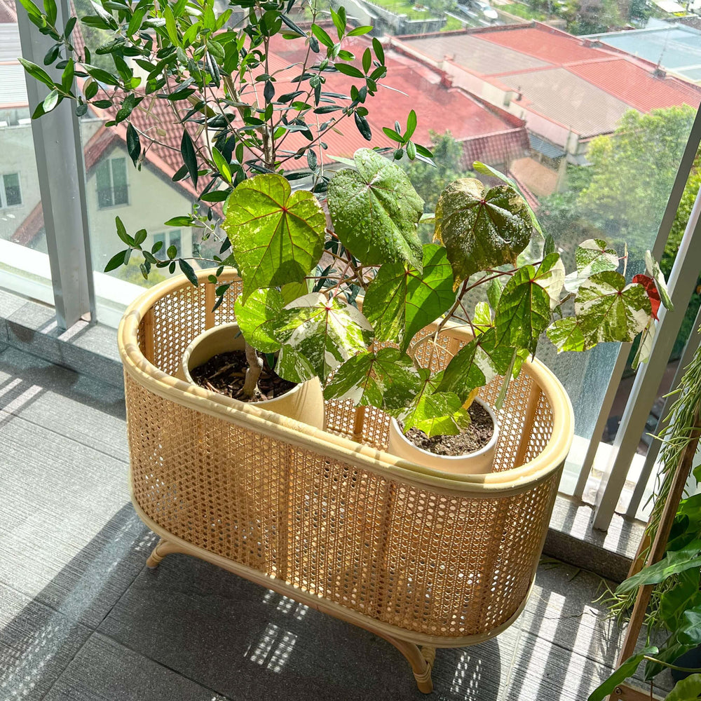 Isle Wicker Plant Stand | Rattan Plant Stand | Indoor & Outdoor Use | MOMIJI