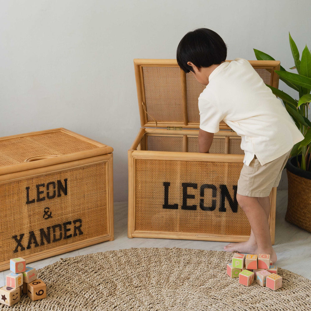 Quentin Storage Rattan Trunk | Handwoven Wicker Trunk with Lid  | Momiji