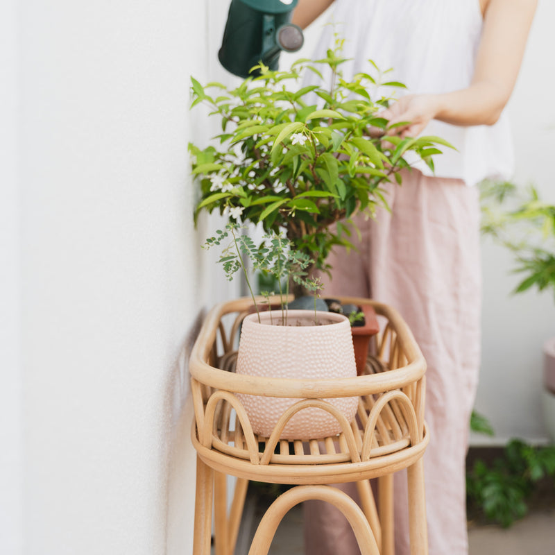 Sage Planter Display Rack