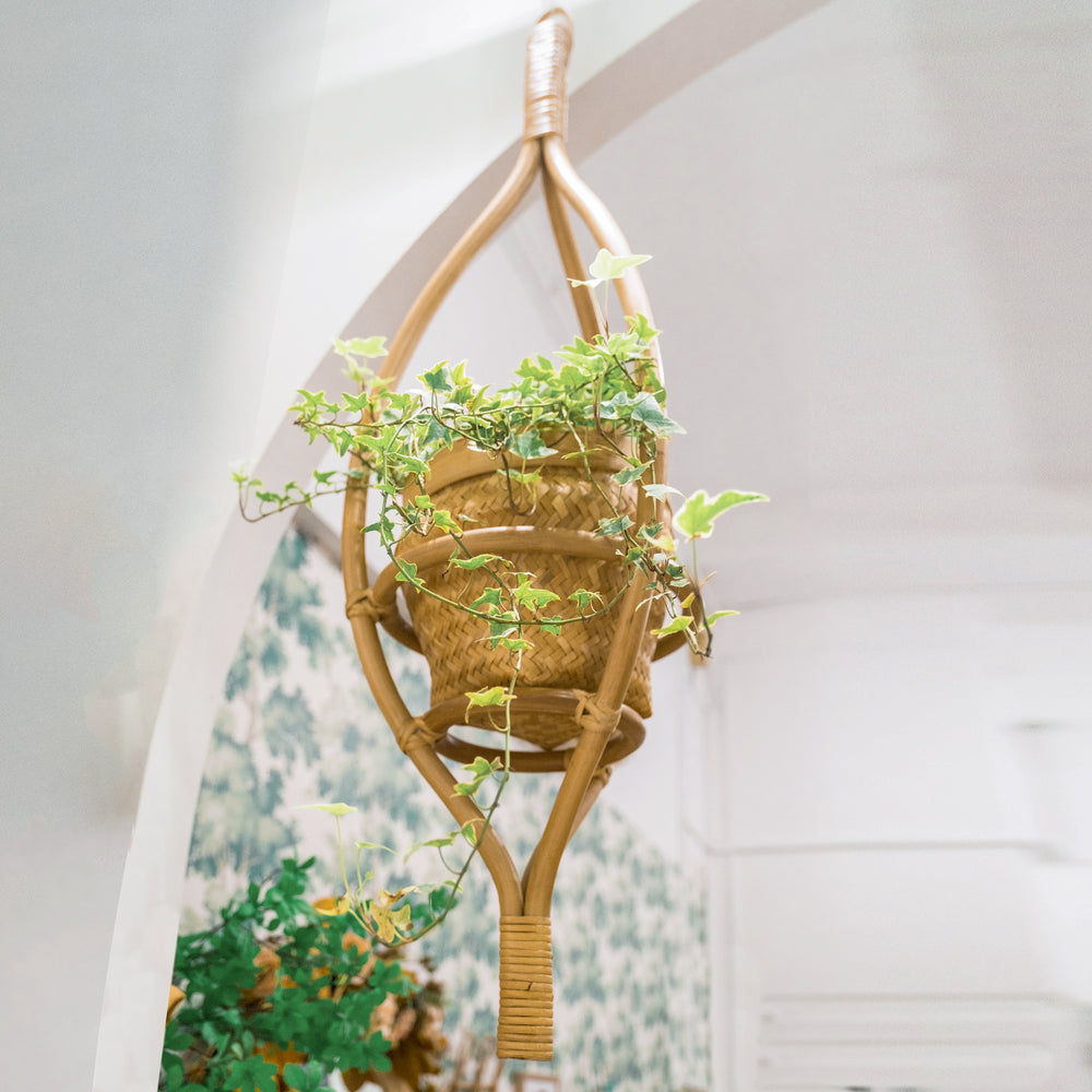 Almond Hanging Planter