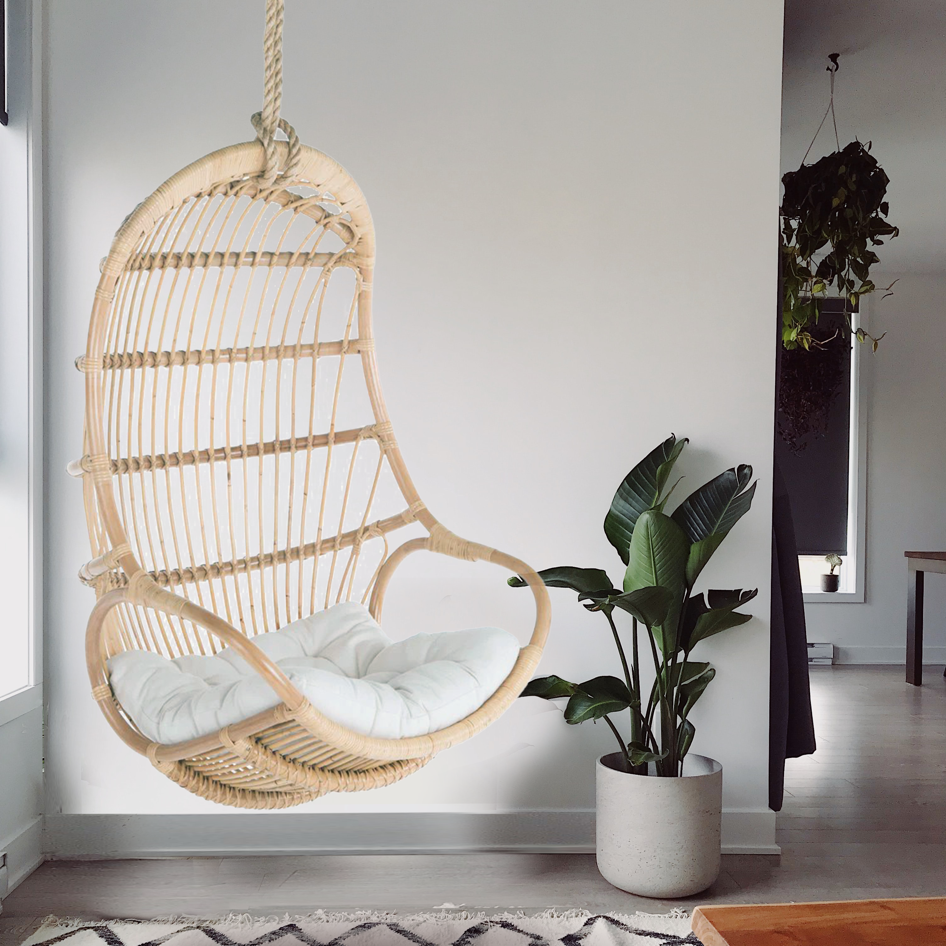 Nest Hanging Chair